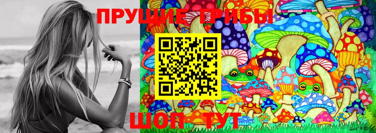 Псилоцибиновые грибы мицелий Великие Луки