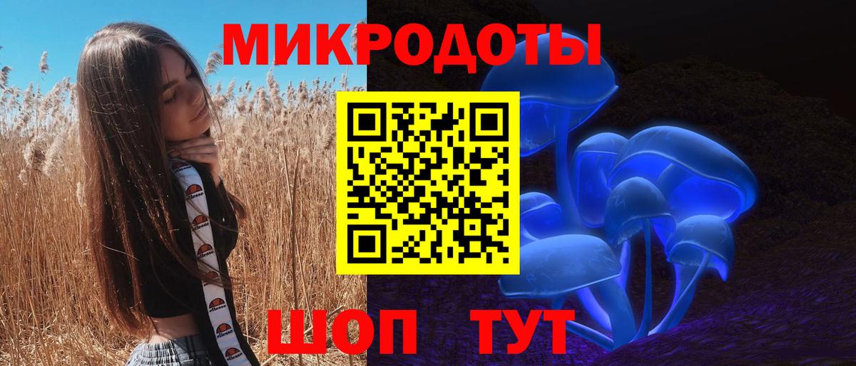 ГАШ Великие Луки