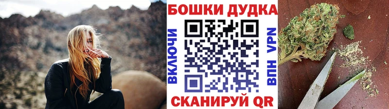hydra как войти  Великие Луки  Бошки марихуана сатива 